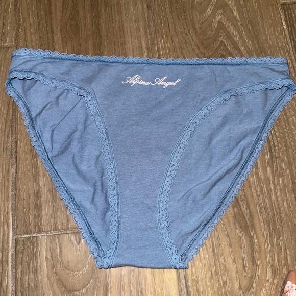 VICTORIA SECRET BLUE ALPINE ANGEL HIGH WAIST LACE TRIM COTTON BIKINI PANTY LARGE - Picture 8 of 13